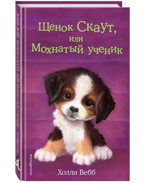 Щенок Скаут, или Мохнатый ученик