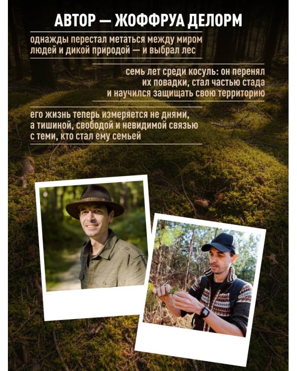 Дыхание леса. 7 лет дикой жизни