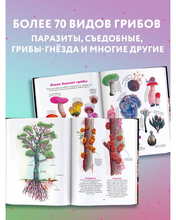Царство грибов