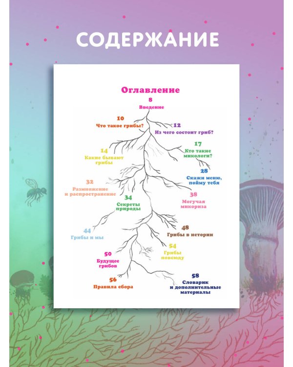Царство грибов