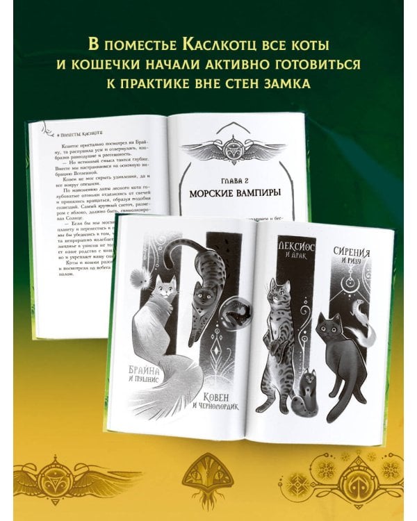 Поместье Каслкотц. Время туманов