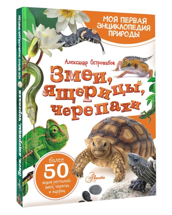Змеи, ящерицы, черепахи