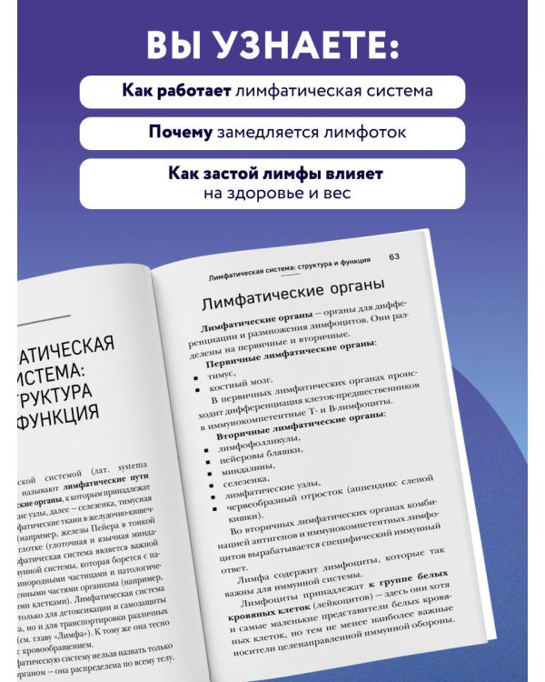 Дополнительное изображение книги «Лимфа. Как запустить естественный дренаж, избавиться от отеков и омолодить тело изнутри»