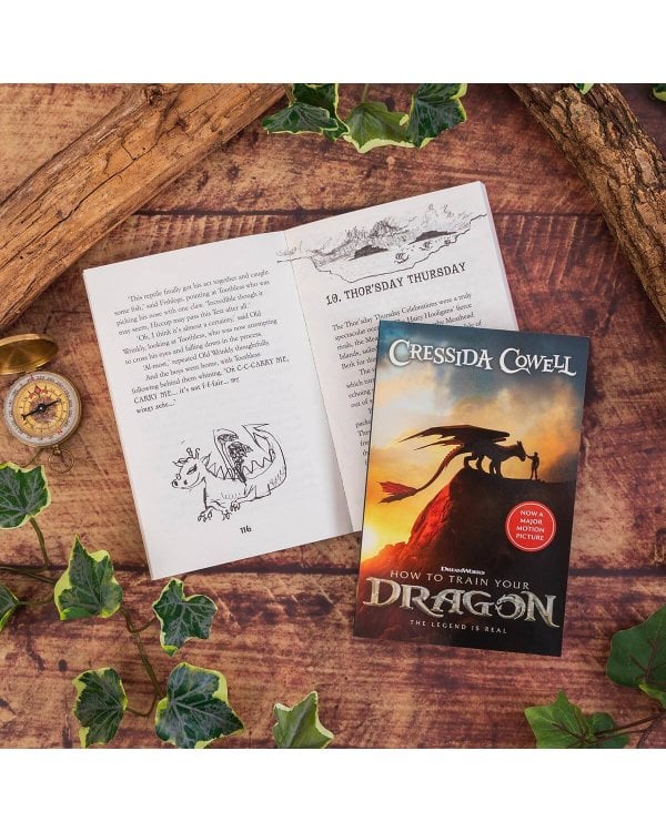 Дополнительное изображение книги «How to Train Your Dragon (Cressida Cowell) Как приручить дракона (Крессида Коуэлл) /Книги на английском языке»