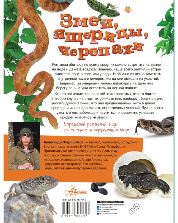 Змеи, ящерицы, черепахи