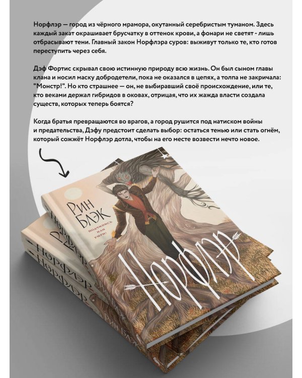 Дополнительное изображение книги «Норфлэр»