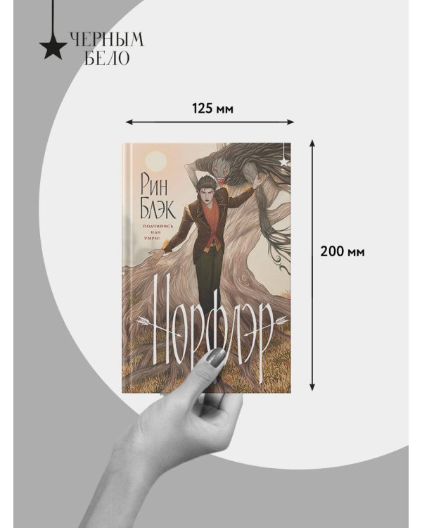 Дополнительное изображение книги «Норфлэр»
