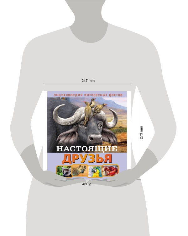 Дополнительное изображение книги «Энциклопедия интересных фактов. Настоящие друзья»