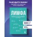 Дополнительное изображение книги «Лимфа. Как запустить естественный дренаж, избавиться от отеков и омолодить тело изнутри»