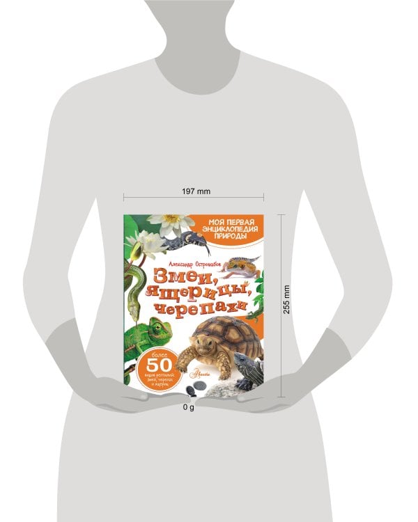 Змеи, ящерицы, черепахи