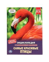"УМКА". САМЫЕ КРАСИВЫЕ ПТИЦЫ (ЭНЦИКЛОПЕДИЯ А4). ТВЕРДЫЙ ПЕРЕПЛЕТ. БУМАГА МЕЛОВАННАЯ 130Г в кор.15шт
