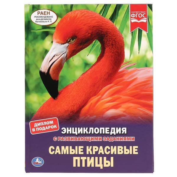 "УМКА". САМЫЕ КРАСИВЫЕ ПТИЦЫ (ЭНЦИКЛОПЕДИЯ А4). ТВЕРДЫЙ ПЕРЕПЛЕТ. БУМАГА МЕЛОВАННАЯ 130Г в кор.15шт