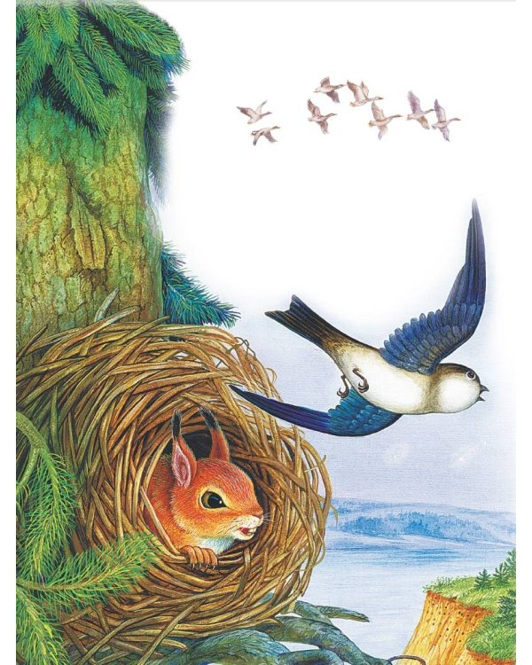 Лучшие истории Виталия Бианки о животных