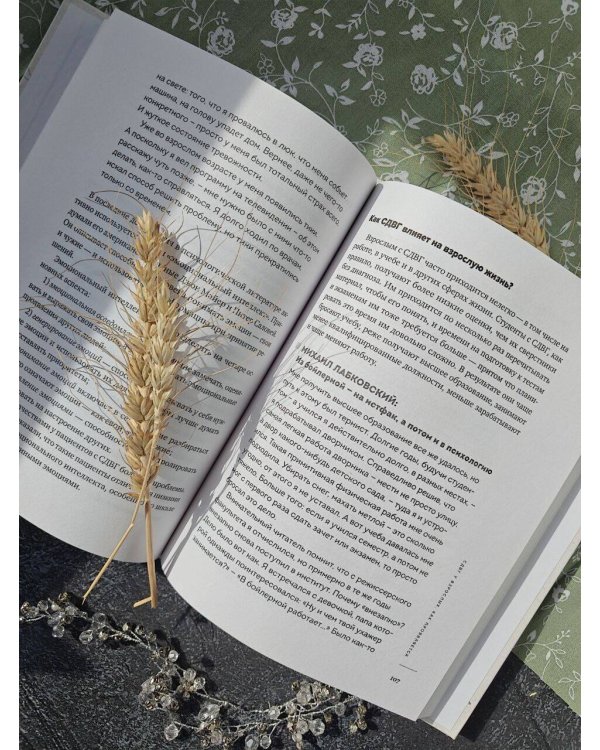 Ребенок-ракета, ребенок-ураган. Руководство по СДВГ для любящих и уставших родителей