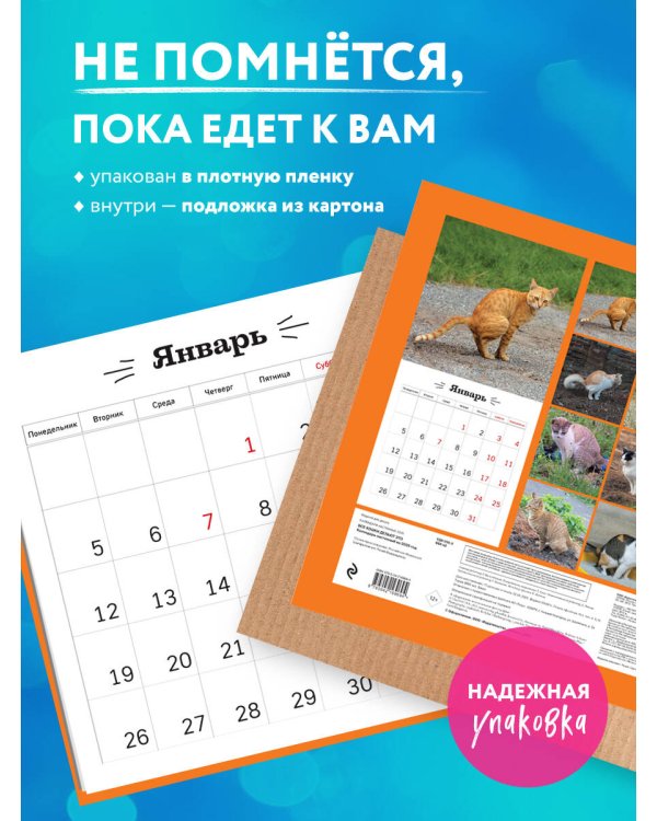 Все кошки делают это. Календарь настенный на 2026 год (300х300)