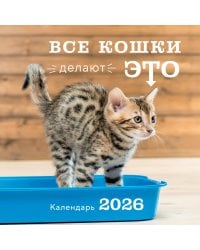 Все кошки делают это. Календарь настенный на 2026 год (300х300)