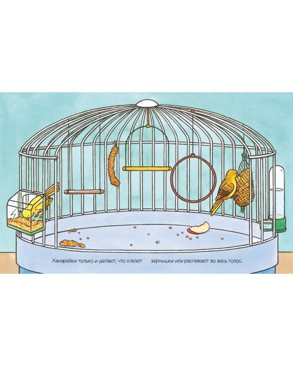 Домашние питомцы