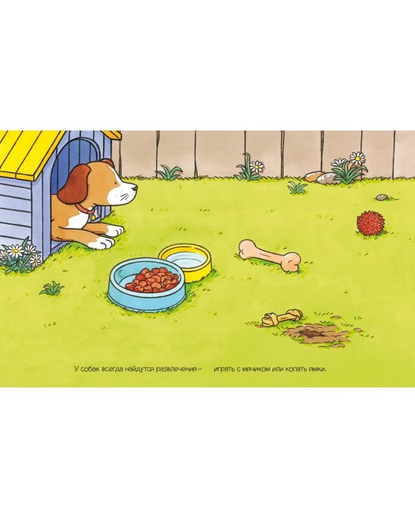 Домашние питомцы