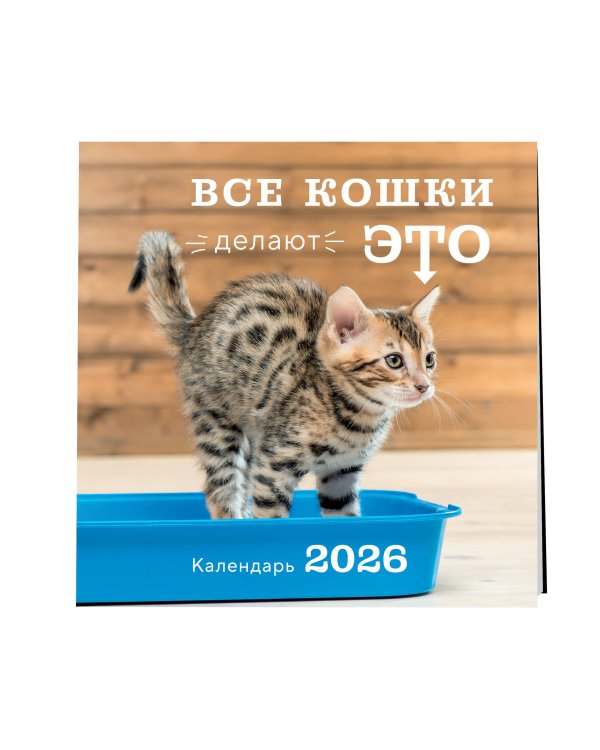 Все кошки делают это. Календарь настенный на 2026 год (300х300)