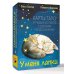 У меня лапки. Карты Таро урчащих котиков с добрыми предсказаниями