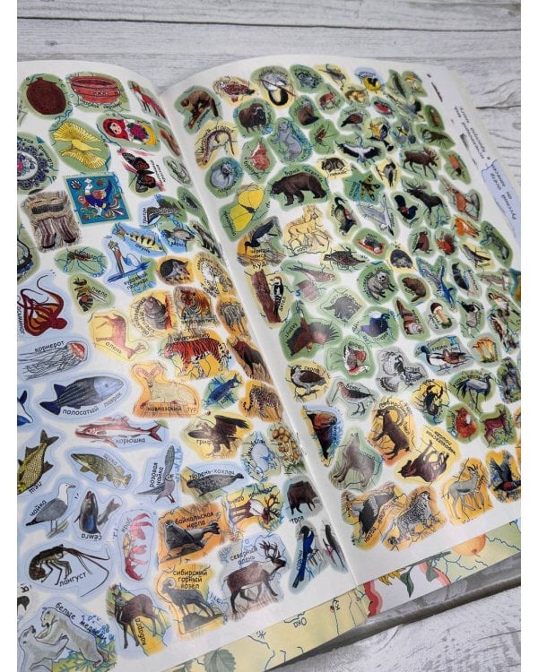 Мой первый атлас России с наклейками