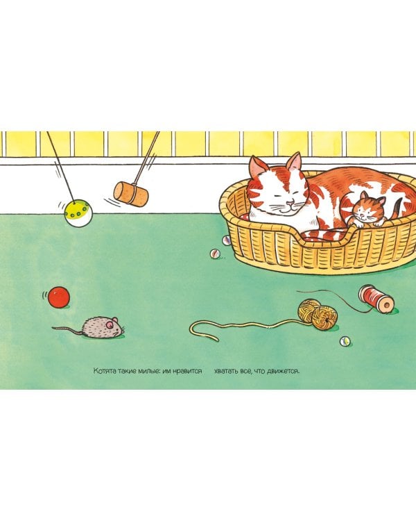 Домашние питомцы