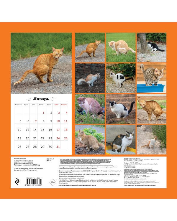 Все кошки делают это. Календарь настенный на 2026 год (300х300)