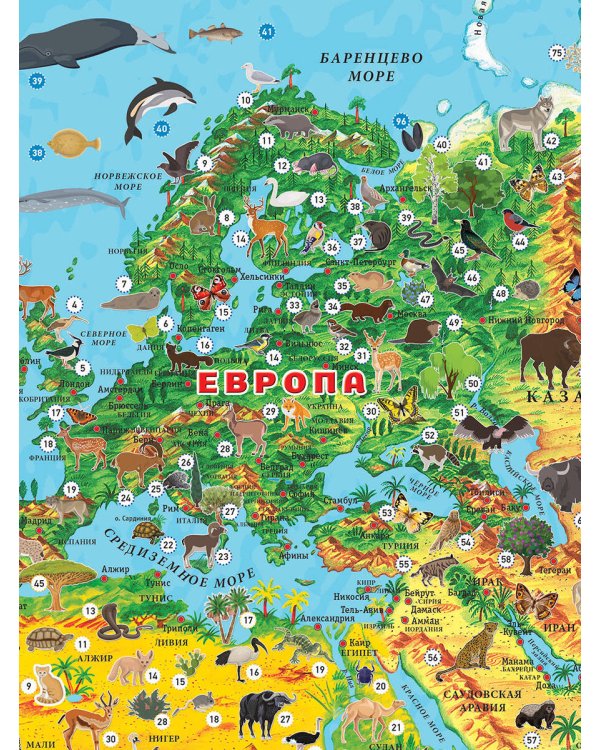 Наша планета. Животный и растительный мир. Карта для детей