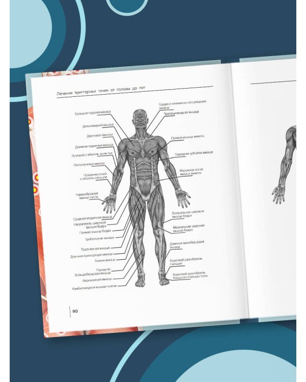 Триггерные точки под контролем. Программы для самостоятельного лечения мышечных зажимов и восстановления подвижности суставов