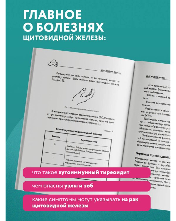 Щитовидная железа. Все от анализов до методов лечения