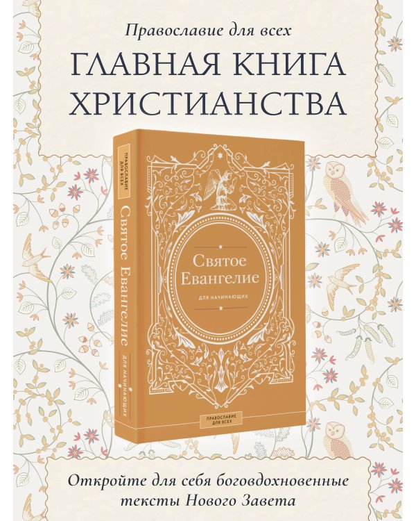 Святое Евангелие для начинающих