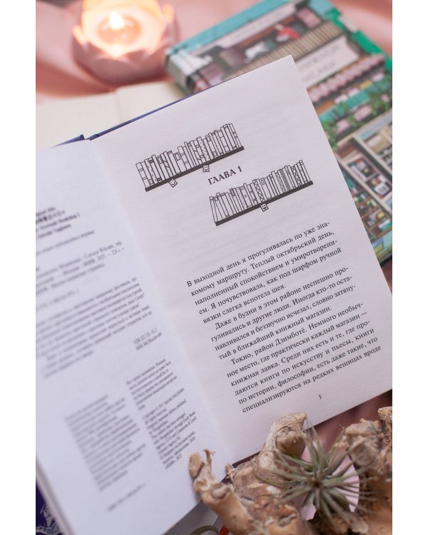 Вечера в книжном Морисаки