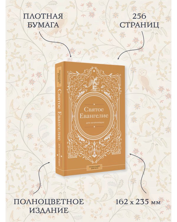 Святое Евангелие для начинающих