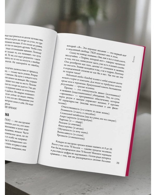 Книга, которой нет. Как бросить беличье колесо и стряхнуть пыль со своей жизни