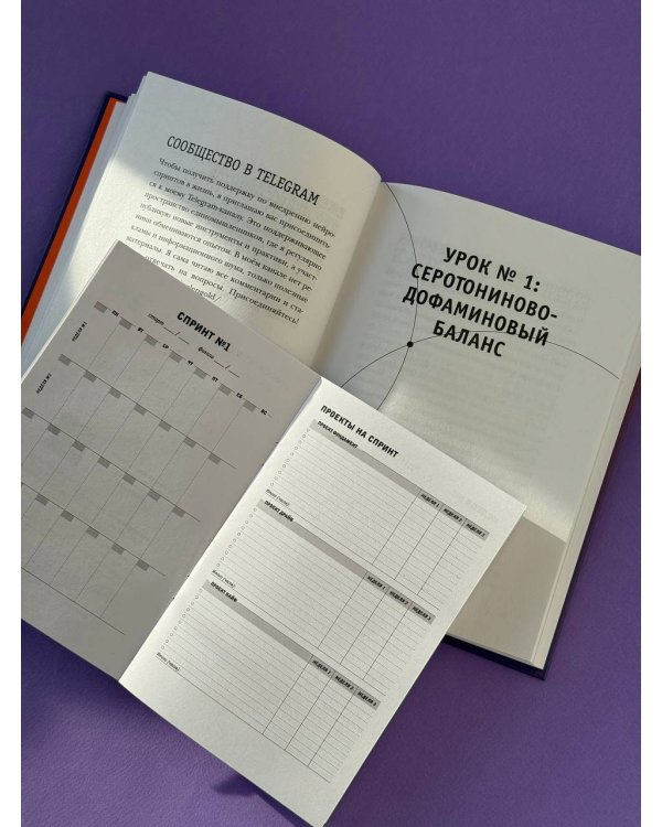 Просто космос. Нейроспринт. Как за 30 часов в месяц трансформировать свой мозг и жизнь + Просто космос. Нейроспринт. Тест ежедневника