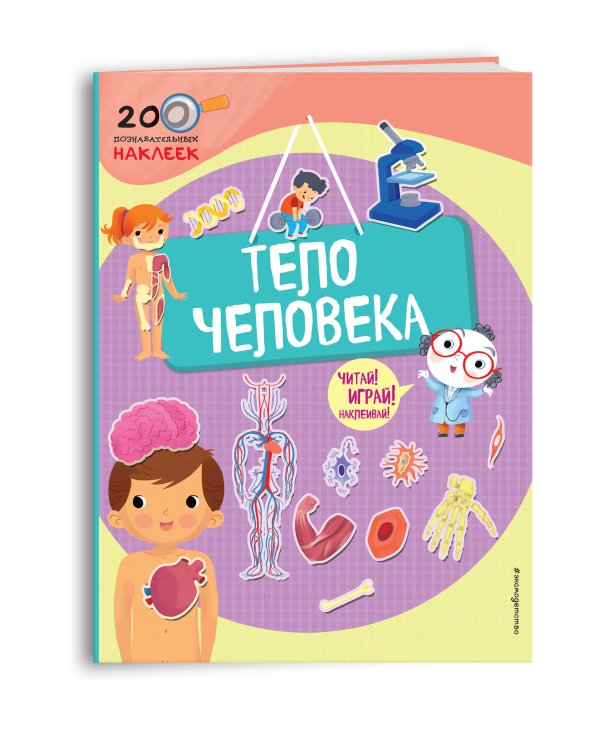 Тело человека