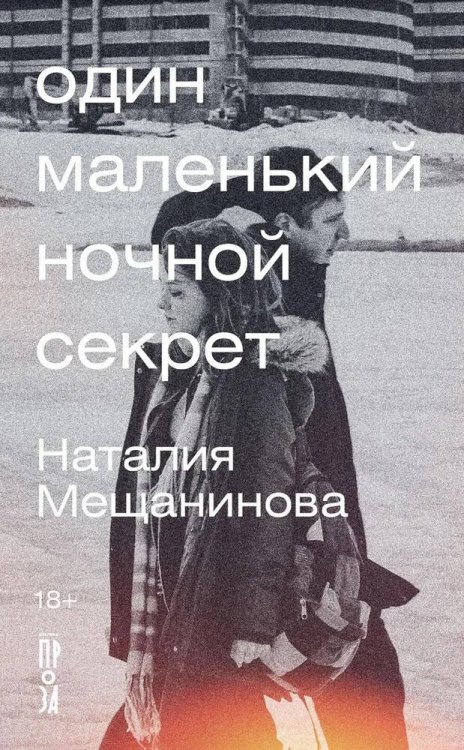 Обложка книги «Один маленький ночной секрет» — Мещанинова Наталия Викторовна, ISBN 9785002231560