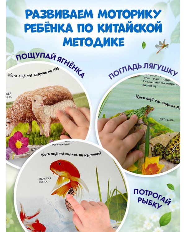Дополнительное изображение книги «Домашние животные»