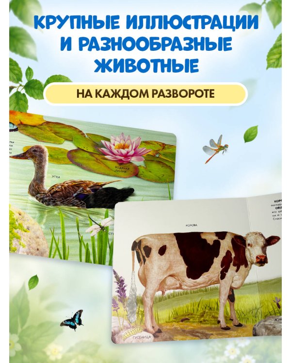 Дополнительное изображение книги «Домашние животные»