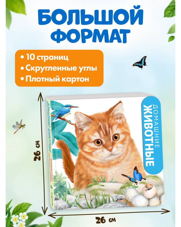 Дополнительное изображение книги «Домашние животные»
