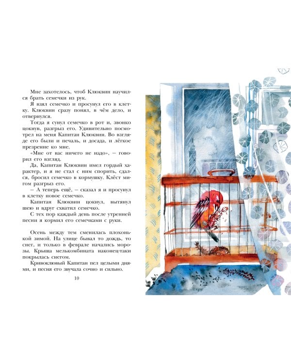 Капитан Клюквин