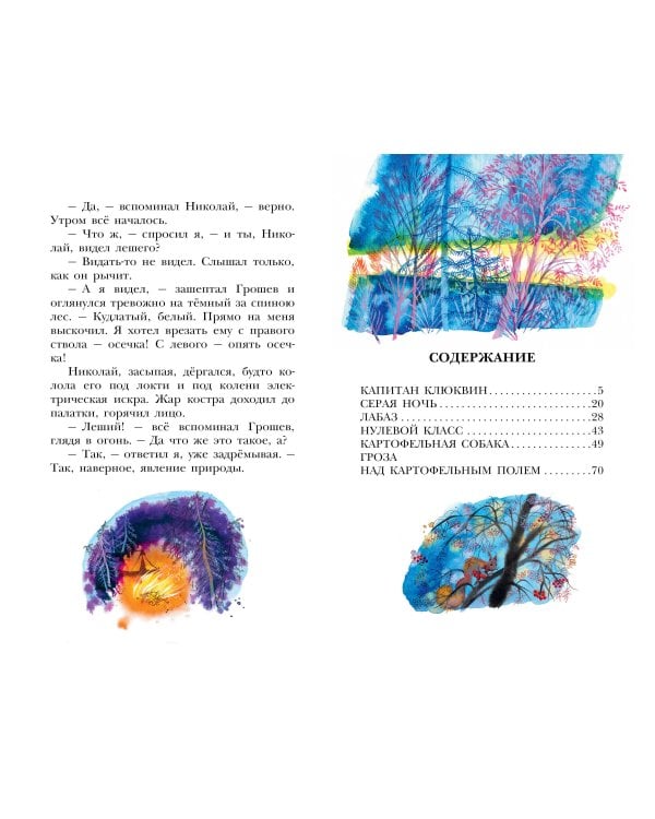 Капитан Клюквин