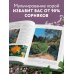 Секреты малоуходного сада. Как создать дизайн участка с неприхотливыми декоративными растениями