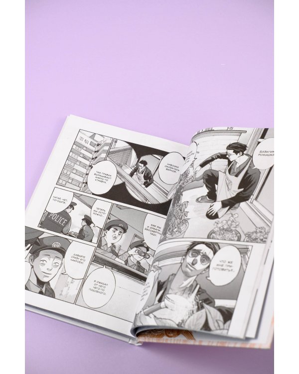 Путь домохозяина. Том 2