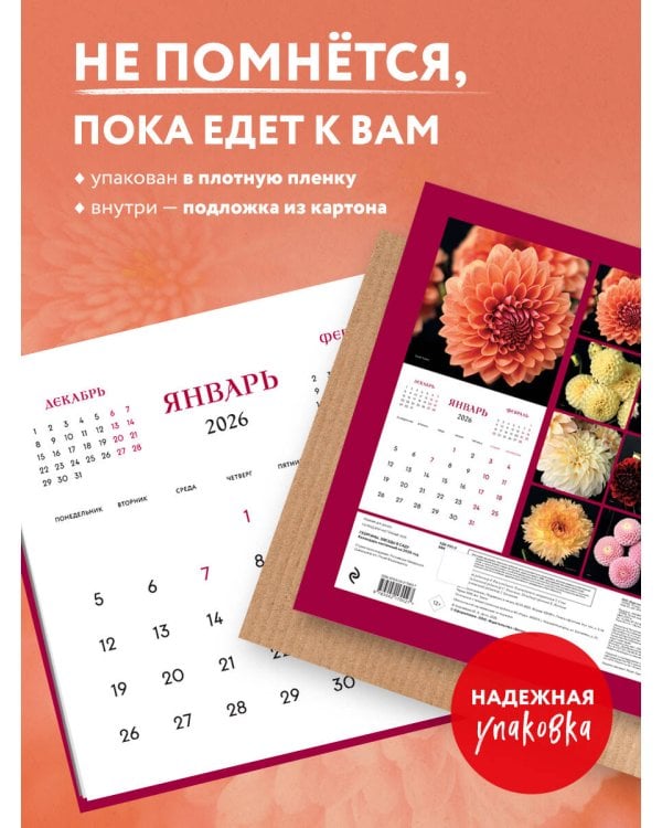 Георгины. Звезды в саду. Календарь настенный на 2026 год (300х300 мм)