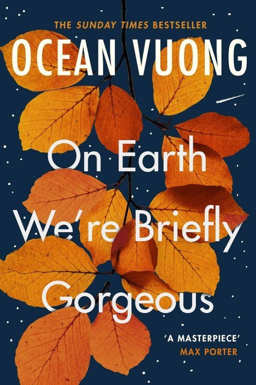 On Earth Were Briefly Gorgeous (Ocean Vuong) Лишь краткий миг земной мы все прекрасны (Оушен Вуонг) / Книги на английском языке