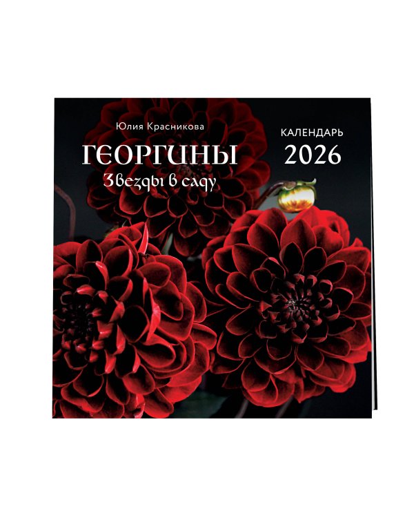 Георгины. Звезды в саду. Календарь настенный на 2026 год (300х300 мм)