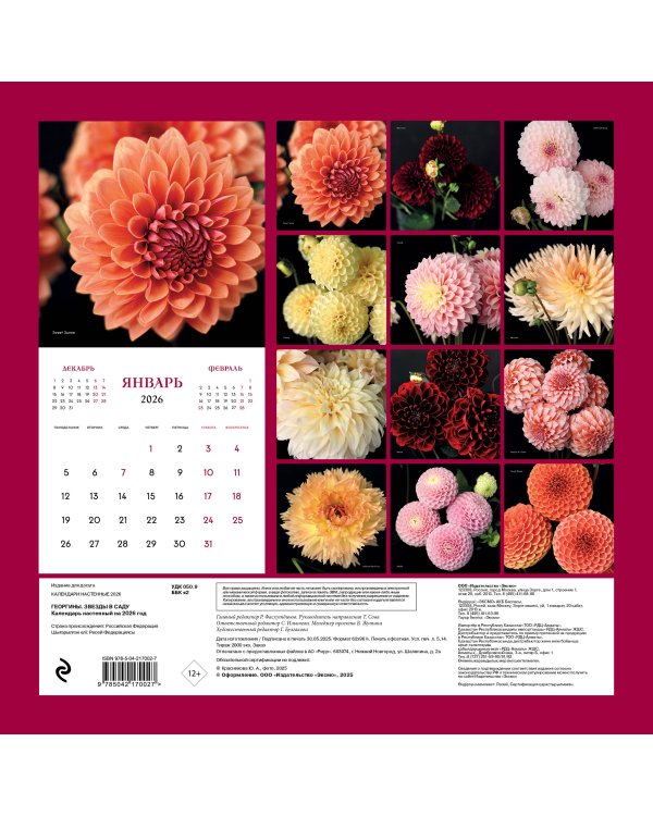 Георгины. Звезды в саду. Календарь настенный на 2026 год (300х300 мм)