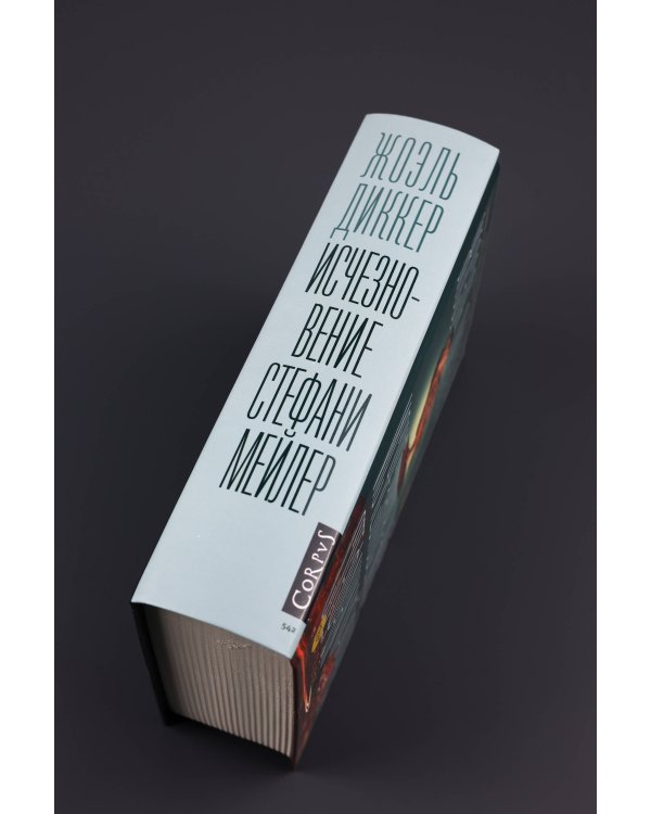 Исчезновение Стефани Мейлер