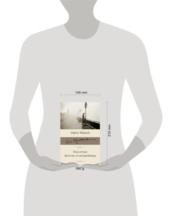 Под сетью. Бегство от волшебника